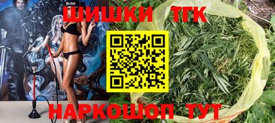 ешки Кингисепп