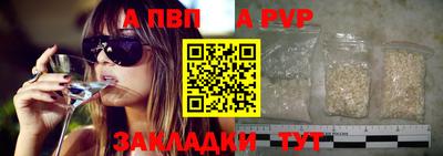 ешки Кингисепп