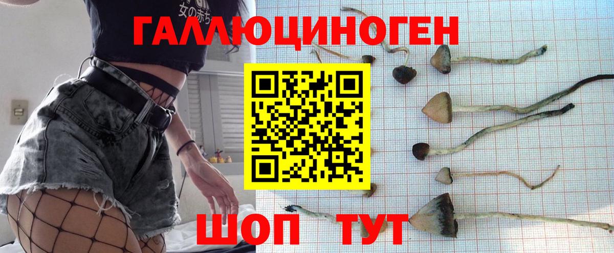 Галлюциногенные грибы прущие грибы Королёв