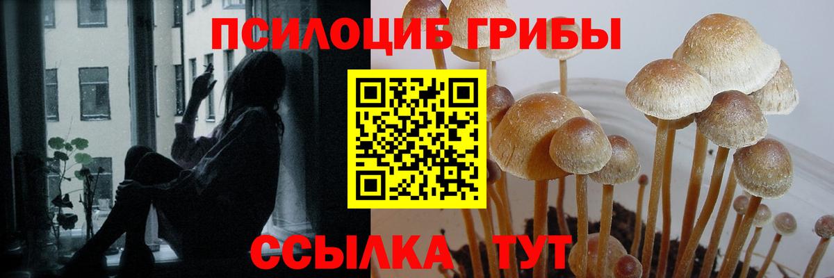 Королёв  Галлюциногенные грибы MAGIC MUSHROOMS  Галлюциногенные грибы мицелий  Вход с VPN 